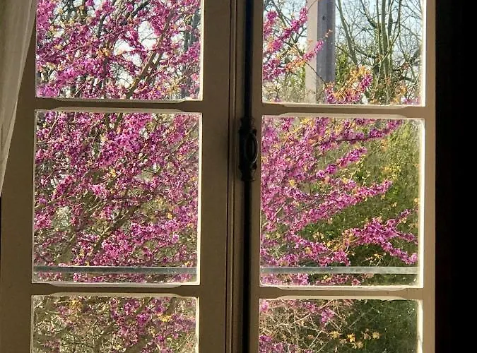 Le Bouyssou Bed & Breakfast Cazes-Mondenard