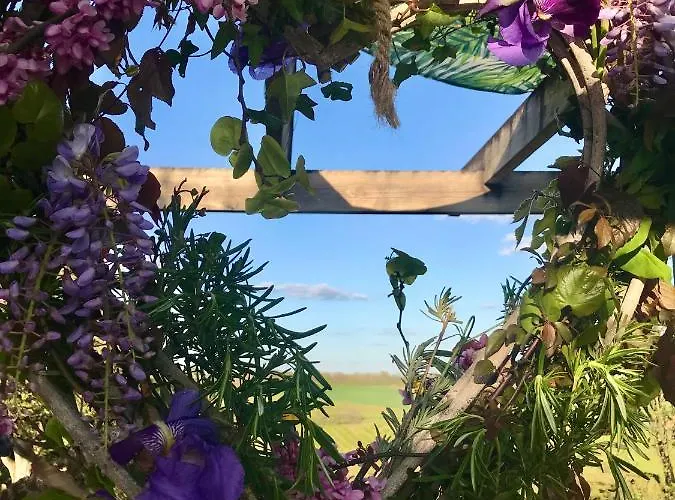 Bed & Breakfast Le Bouyssou