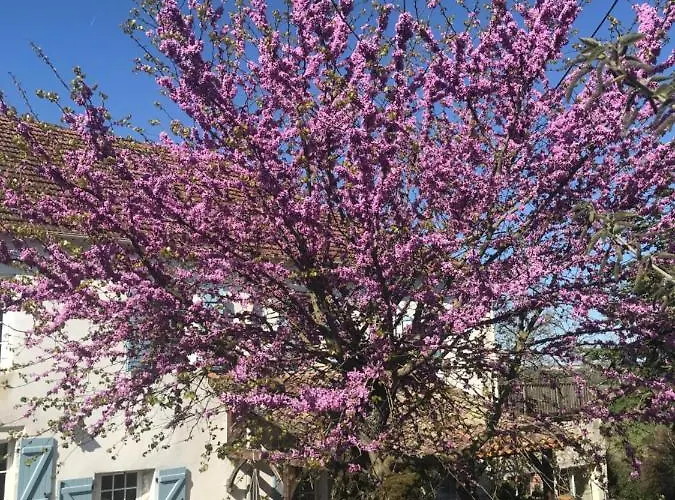 Le Bouyssou * Cazes-Mondenard