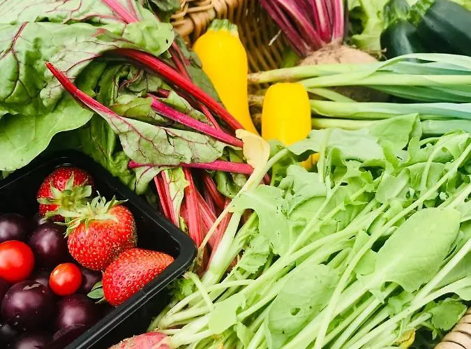 Bed & Breakfast Le Bouyssou