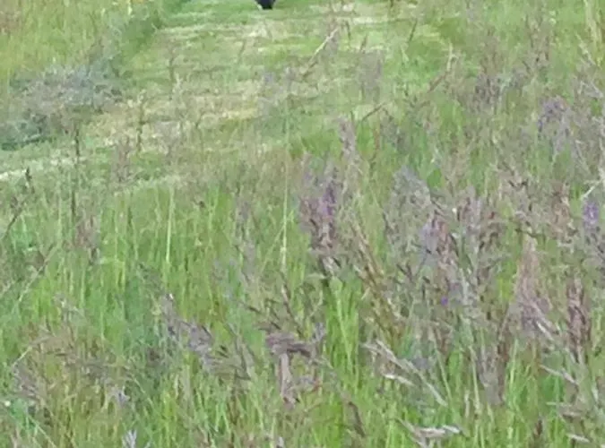 Bed & Breakfast Le Bouyssou Cazes-Mondenard