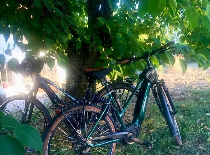 Le Bouyssou Bed & Breakfast *