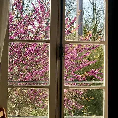 Le Bouyssou Nocleg ze śniadaniem Cazes-Mondenard