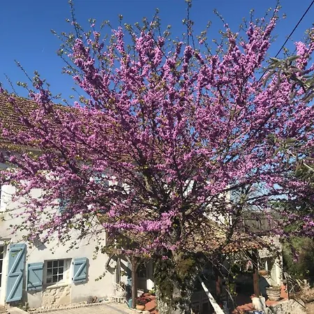 Le Bouyssou * Cazes-Mondenard