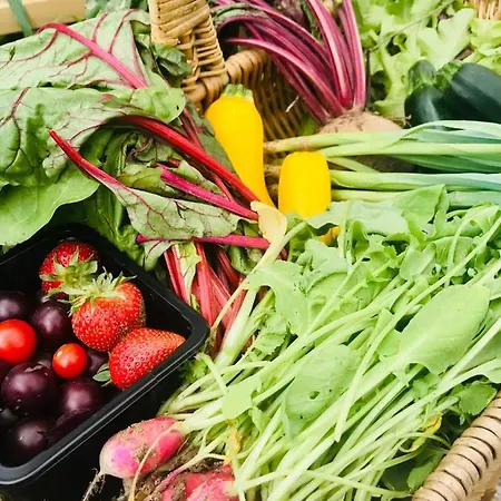 Nocleg ze śniadaniem Le Bouyssou