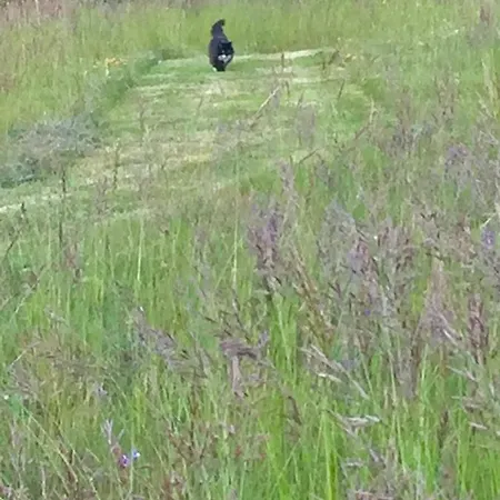 Couette-café Le Bouyssou Cazes-Mondenard