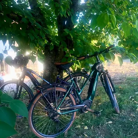 Le Bouyssou Couette-café *