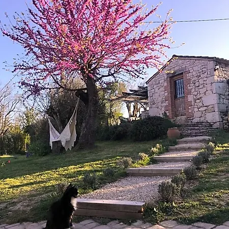 Bed & Breakfast Le Bouyssou
